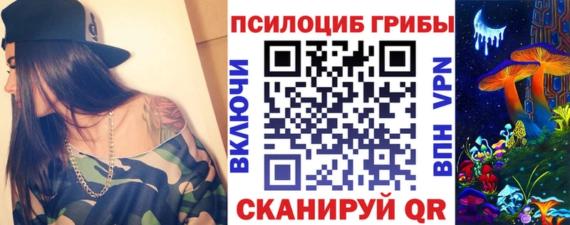 мега ССЫЛКА  Лесосибирск  Псилоцибиновые грибы Psilocybe 