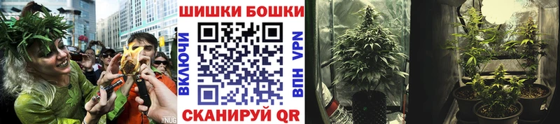 Конопля LSD WEED  Лесосибирск 